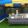 Akita Club Show 2014