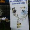 Akita Club Show 2014