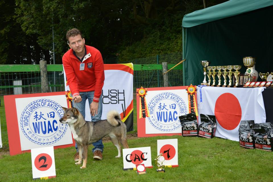 Shikoku Champion femelle Cac