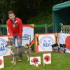Shikoku Champion femelle Cac