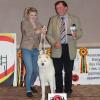 acc20121