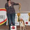acc201218