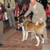 acc20123