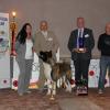 acc20129 - Copie