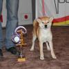 acs20121 - Copie