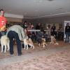 acs20124 - Copie