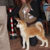 acs20126 - Copie