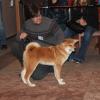 acs20127 - Copie