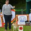 akita club shiba ouverte femelle