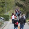 Balade akita club 15 avril Braine Le Comte 001