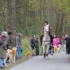 Balade akita club 15 avril Braine Le Comte 002