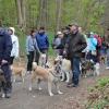 Balade akita club 15 avril Braine Le Comte 009