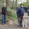 Balade akita club 15 avril Braine Le Comte 011