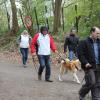 Balade akita club 15 avril Braine Le Comte 019