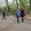 Balade akita club 15 avril Braine Le Comte 020