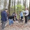 Balade akita club 15 avril Braine Le Comte 026