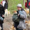 Balade akita club 15 avril Braine Le Comte 027