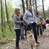 Balade akita club 15 avril Braine Le Comte 038