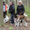 Balade akita club 15 avril Braine Le Comte 044