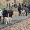 Balade akita club 15 avril Braine Le Comte 063