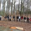 Balade akita club 15 avril Braine Le Comte 093