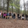 Balade akita club 15 avril Braine Le Comte 096