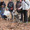 Balade akita club 15 avril Braine Le Comte 099