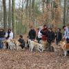 Balade akita club 15 avril Braine Le Comte 134