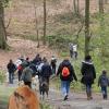 Balade akita club 15 avril Braine Le Comte 157