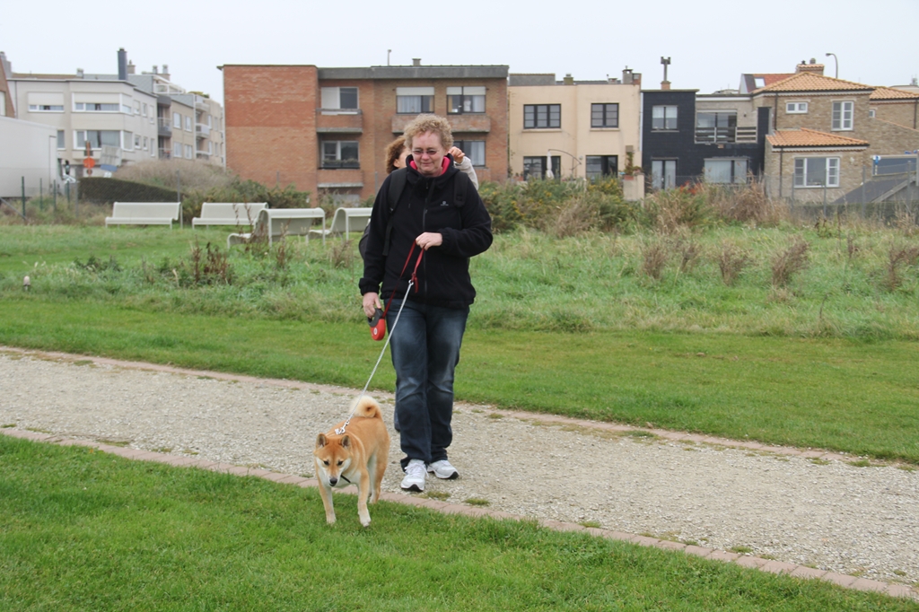 Wandeling/Promenade Akita club 30 octobre 2011