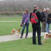 Wandeling/Promenade Akita club 30 octobre 2011