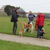 Wandeling/Promenade Akita club 30 octobre 2011
