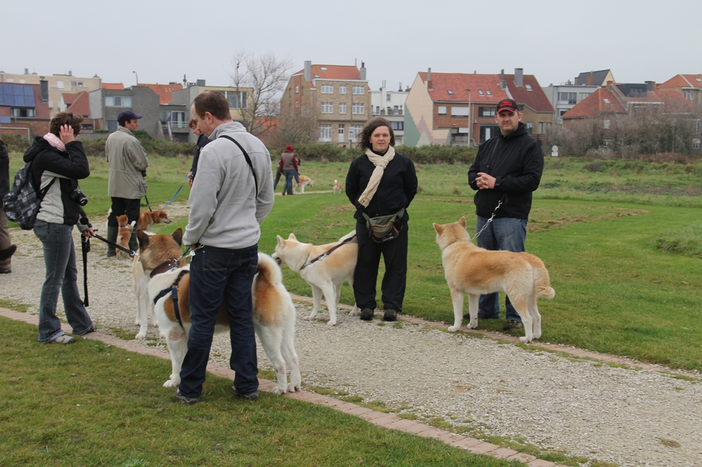 Wandeling/Promenade Akita club 30 octobre 2011