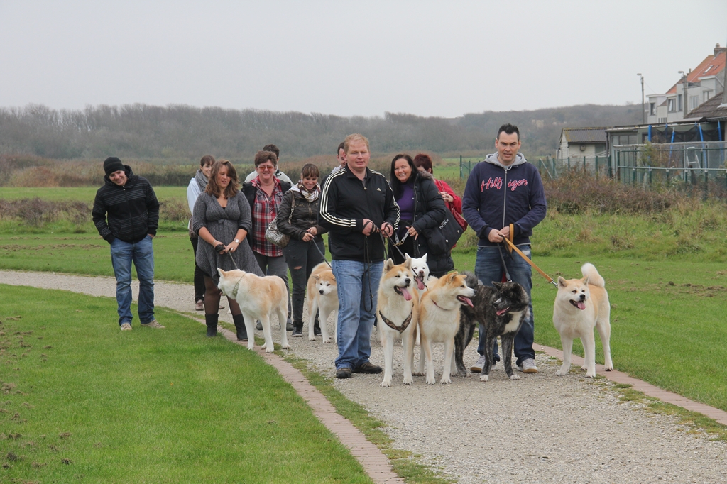 Wandeling/Promenade Akita club 30 octobre 2011