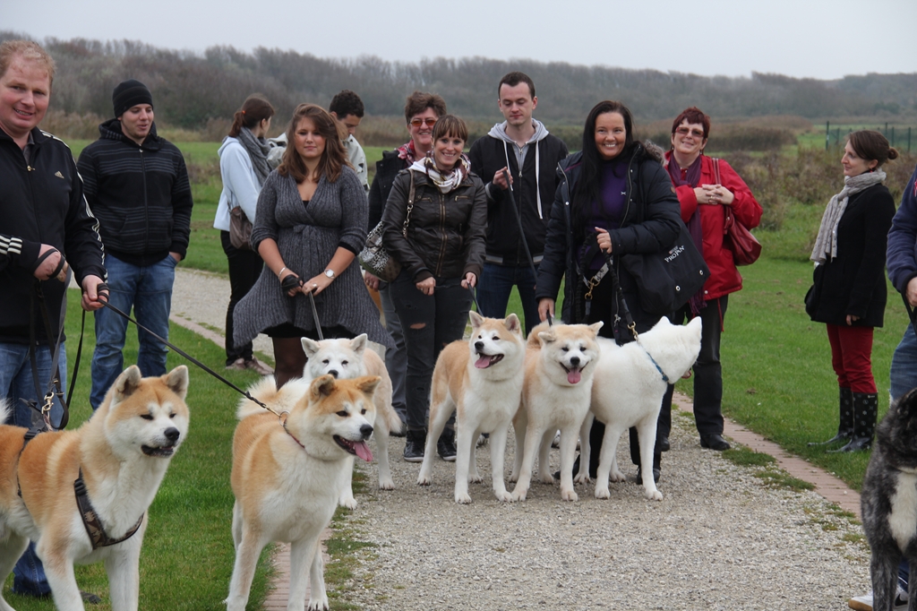 Wandeling/Promenade Akita club 30 octobre 2011