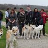 Wandeling/Promenade Akita club 30 octobre 2011