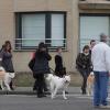 Wandeling/Promenade Akita club 30 octobre 2011