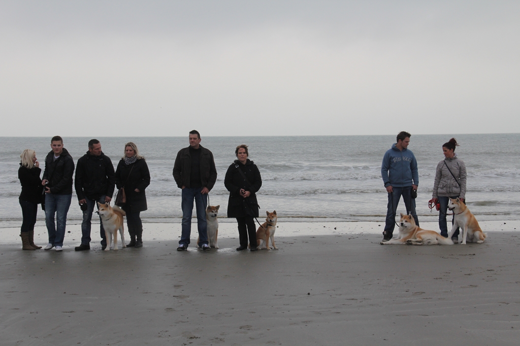 Wandeling/Promenade Akita club 30 octobre 2011