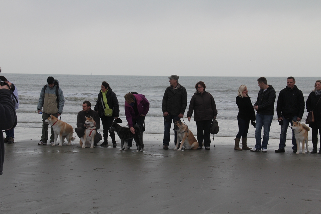 Wandeling/Promenade Akita club 30 octobre 2011