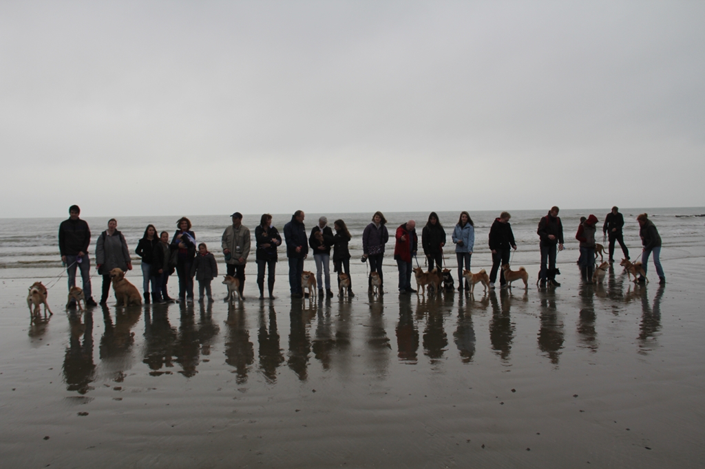 Wandeling/Promenade Akita club 30 octobre 2011