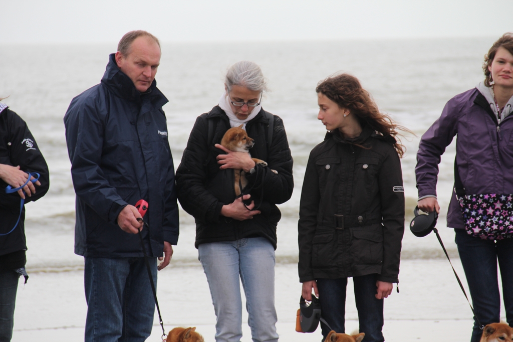 Wandeling/Promenade Akita club 30 octobre 2011