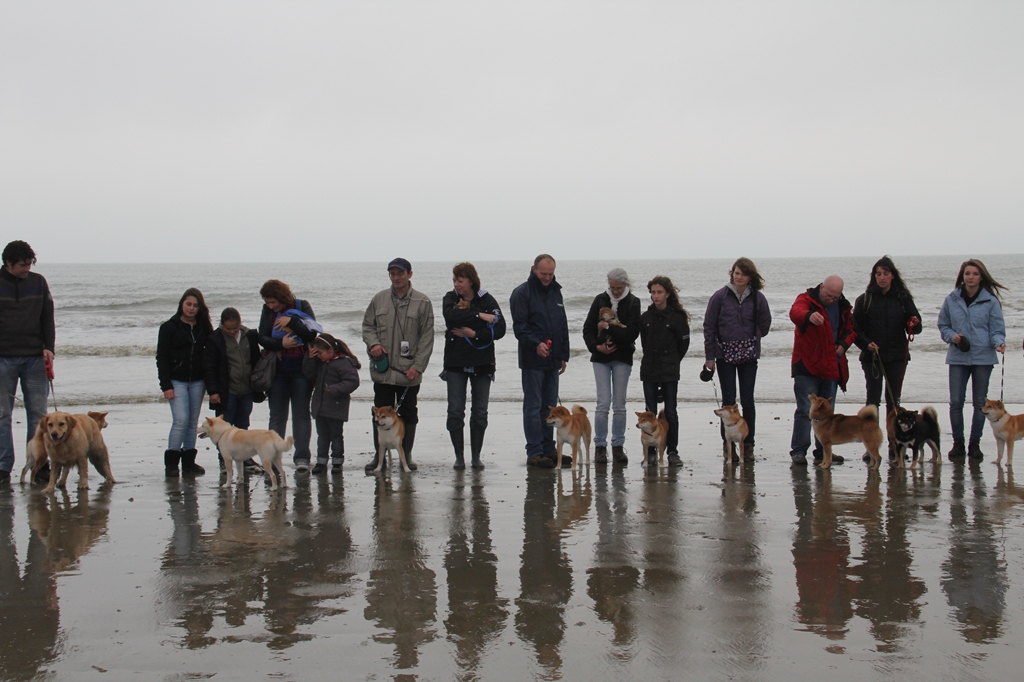 Wandeling/Promenade Akita club 30 octobre 2011