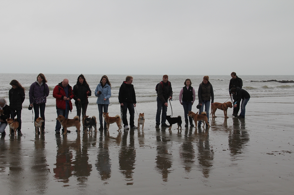 Wandeling/Promenade Akita club 30 octobre 2011