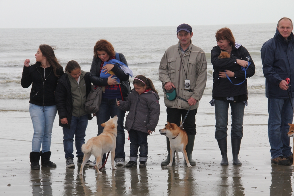 Wandeling/Promenade Akita club 30 octobre 2011