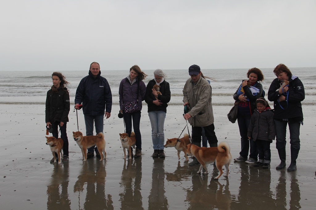 Wandeling/Promenade Akita club 30 octobre 2011