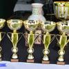 Akita Club Show Cac 13/09/2015