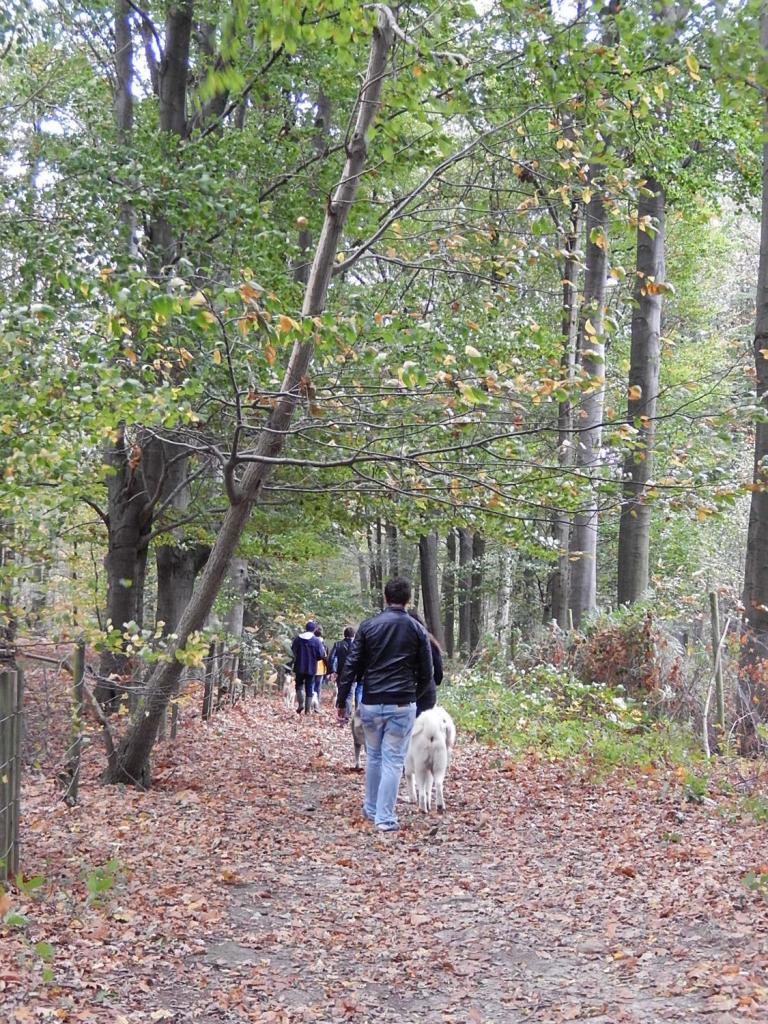 Balade octobre 2013