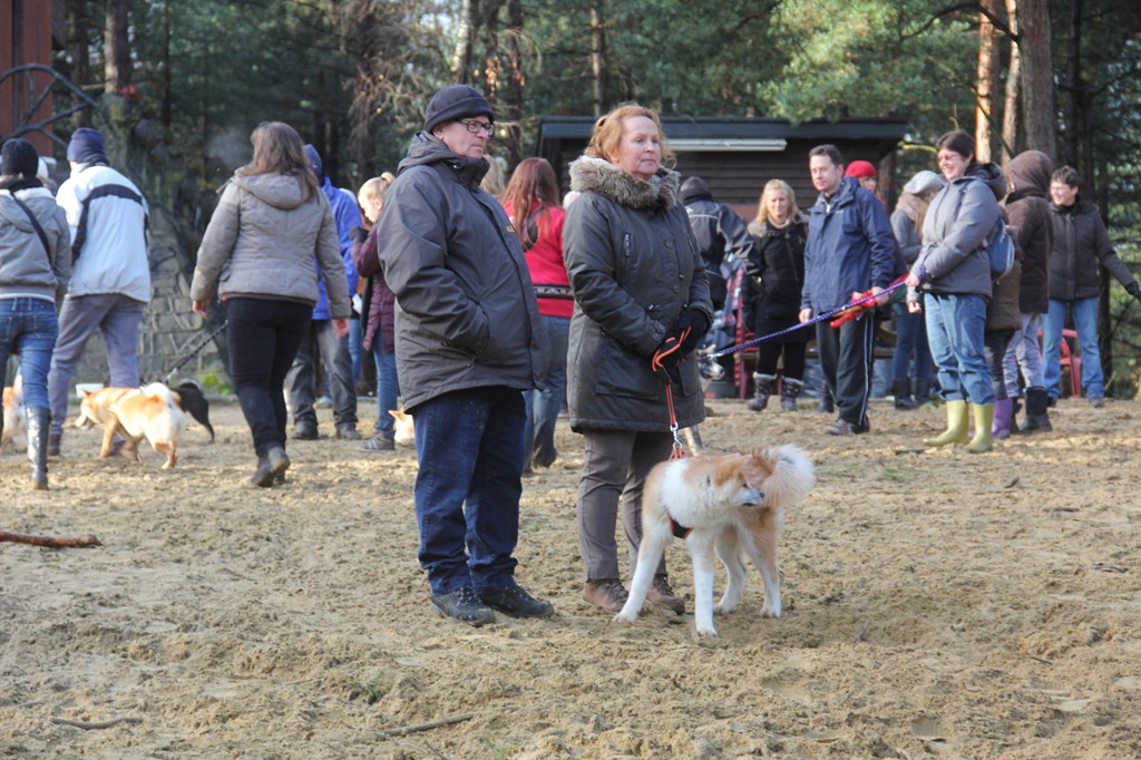 Balade décembre 2012