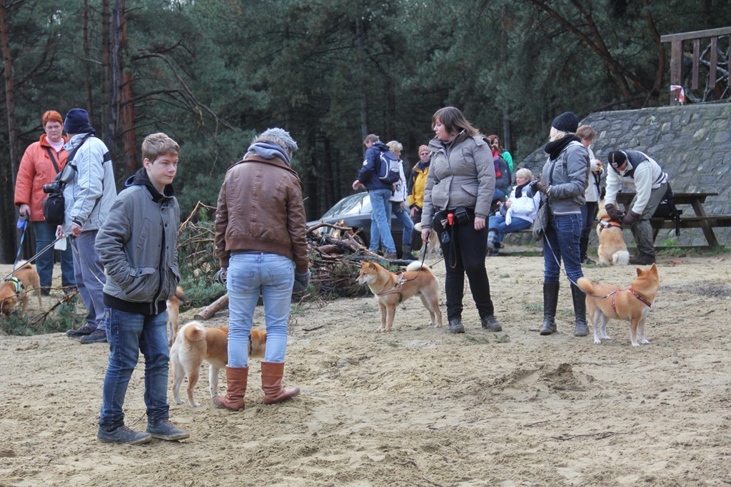 Balade décembre 2012