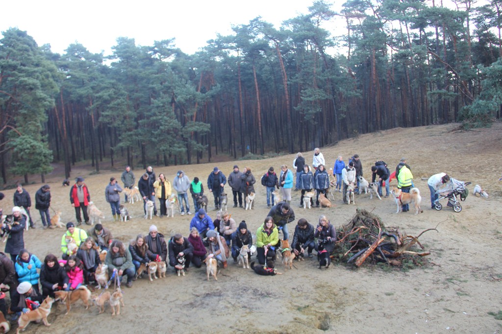 Balade - Wandeling Akitaclub décembre 2012